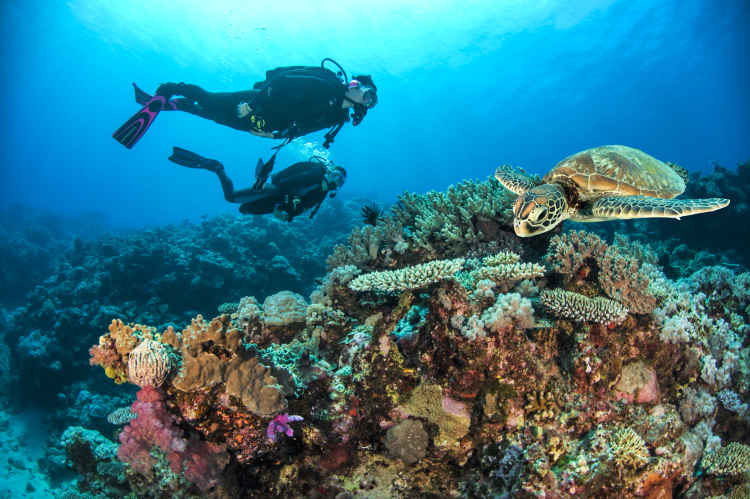 divemaster