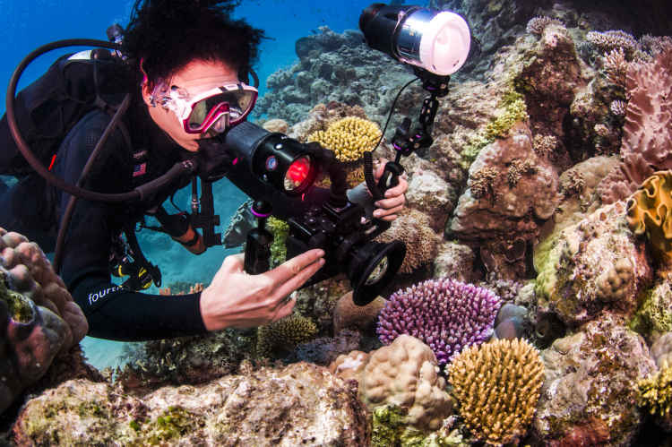 divemaster