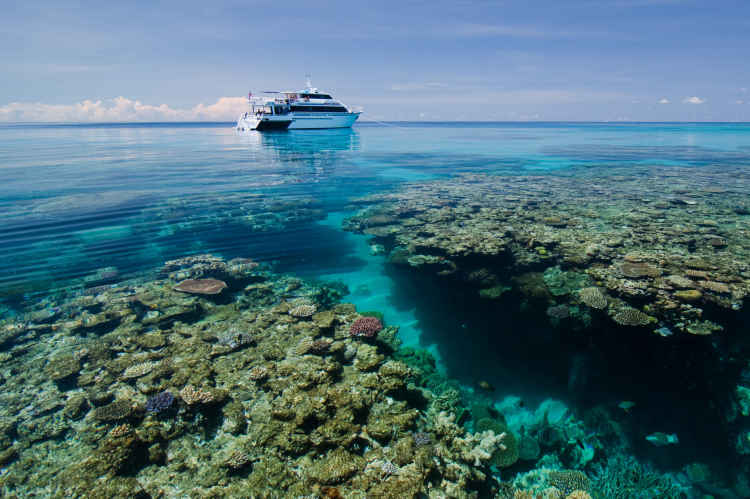 divemaster