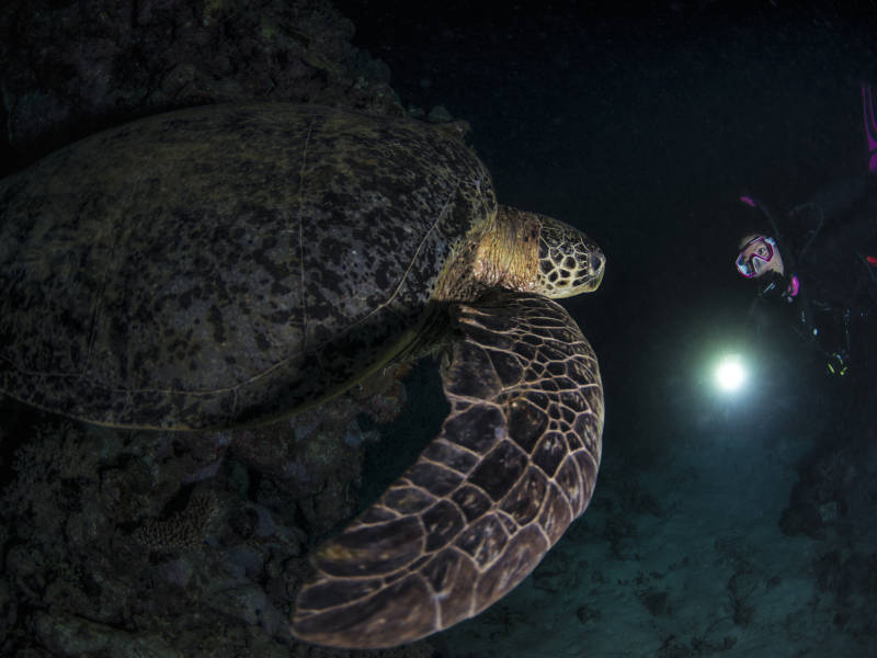 Advanced PADI open water & Enriched air course