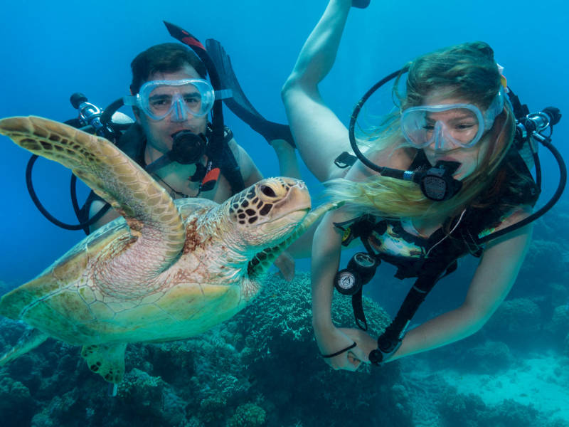 Divers Den liveaboard