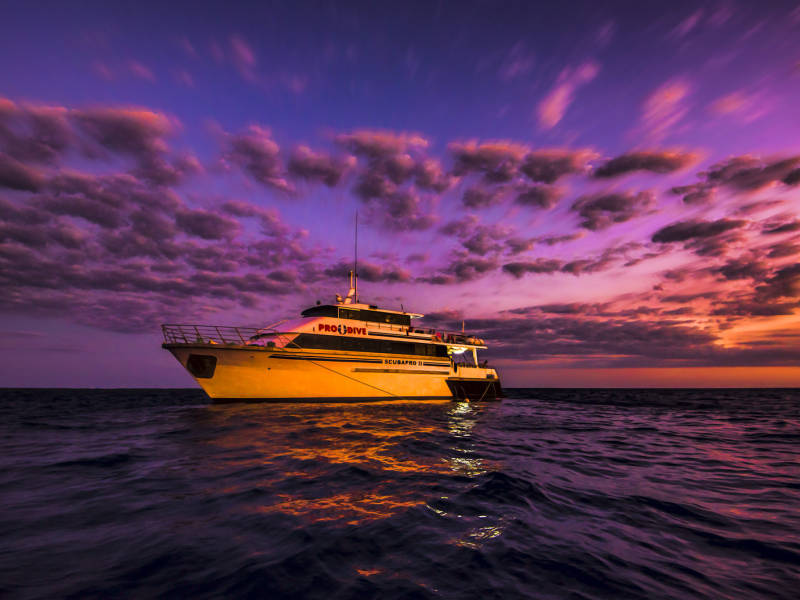 Live Aboards - Pro Dive Cairns - 3 Day and 2 Night