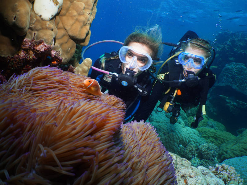 Learn to dive on the Great Barrier Reef (4 Day)
