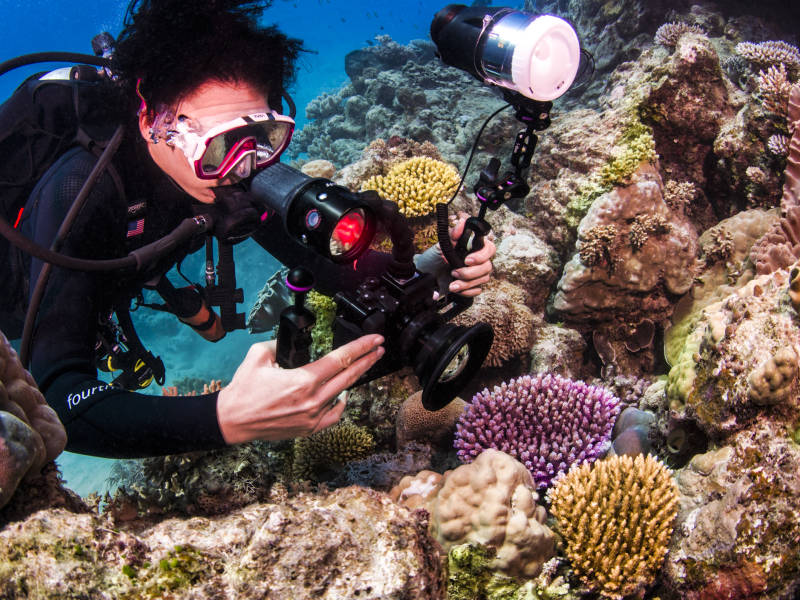 Divemaster professional training (PADI)