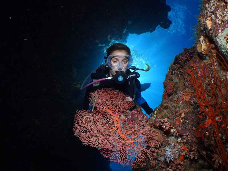 Openwater
