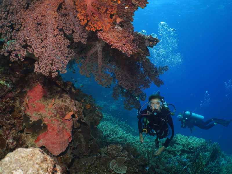 Openwater