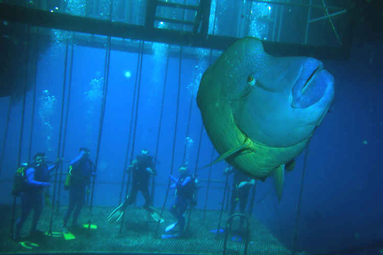 Openwater