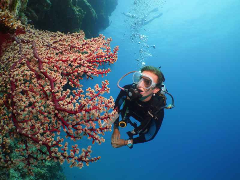 discover-qsd