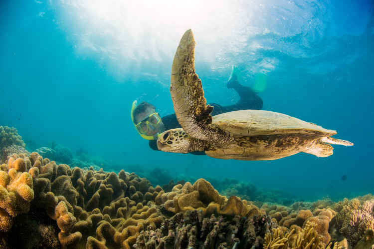 3dayouterreef