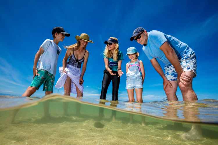 3dayouterreef