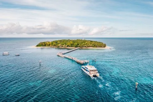 Picnic on Green Island