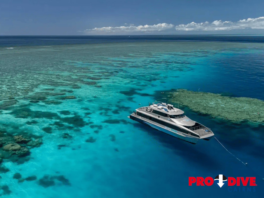 Prodive Cairns