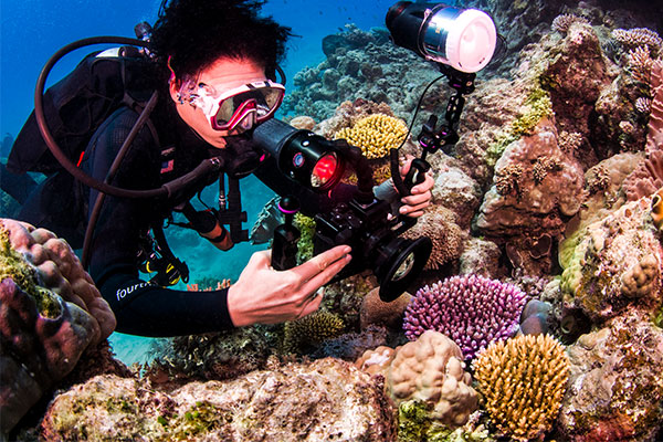 PADI Open water Course