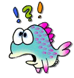 404 fish