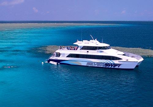 Snorkel/Diving day trips