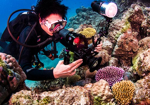 Advanced Ongoing Dive Education