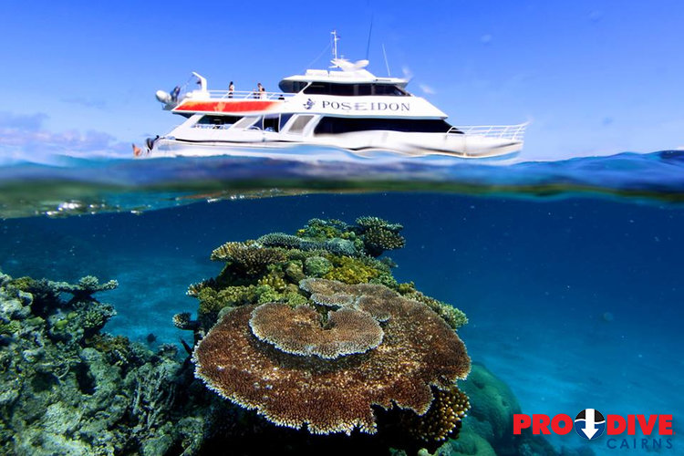 Prodive Cairns