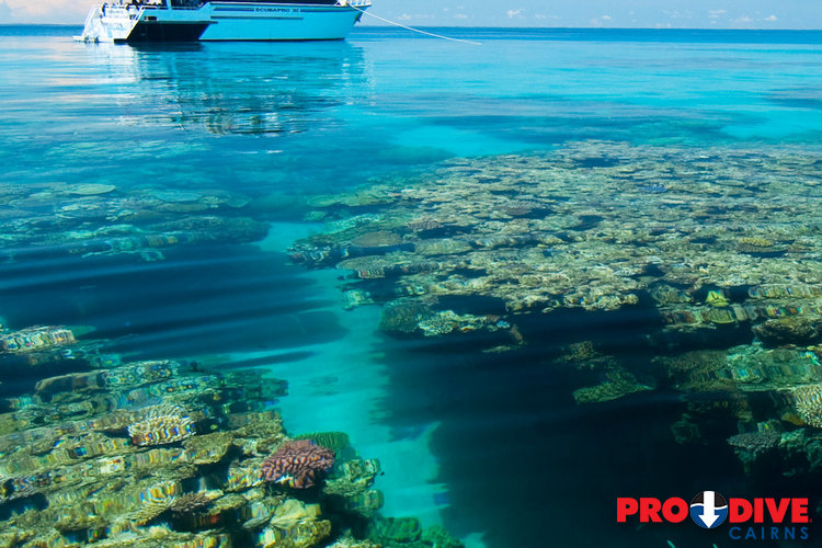 Prodive Cairns