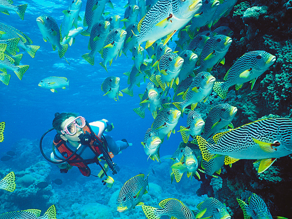 PADI Instructor Development Course 
