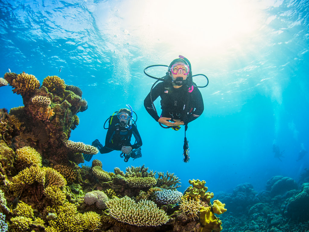 PADI Divemaster Course 