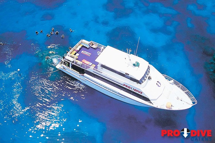Prodive Cairns