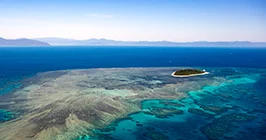 Climate change & Coral reef investigations