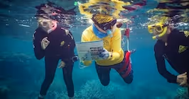 Marine Science Investigations